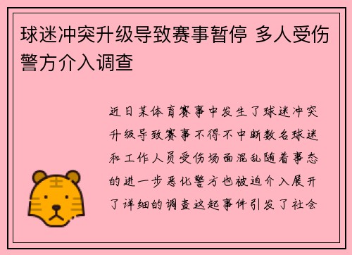 球迷冲突升级导致赛事暂停 多人受伤警方介入调查